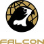 Falcon International logo